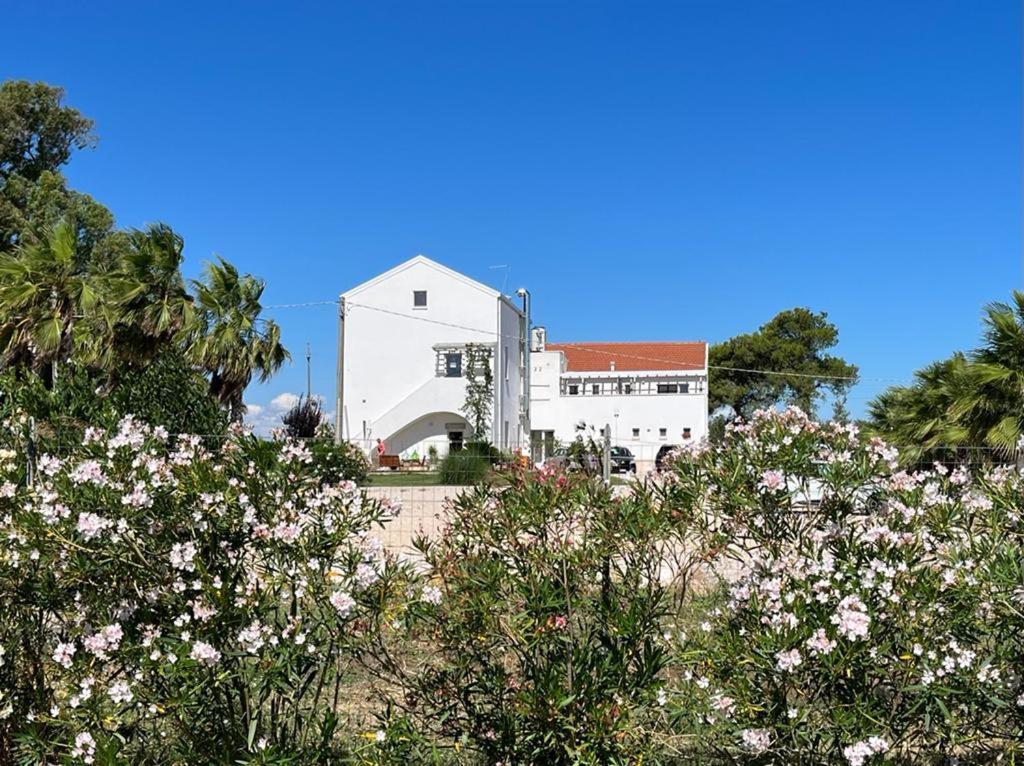 Masseria Cannella
